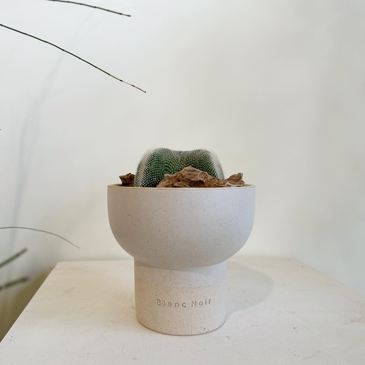 TeeUM韩国花盆透气排水创意盆