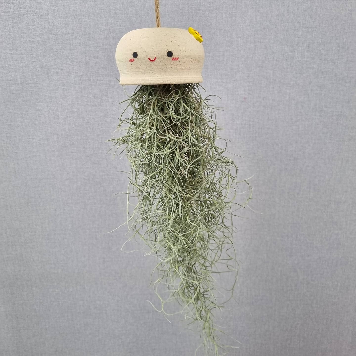 韩国花盆陶土挂盆纯手工TeeUM