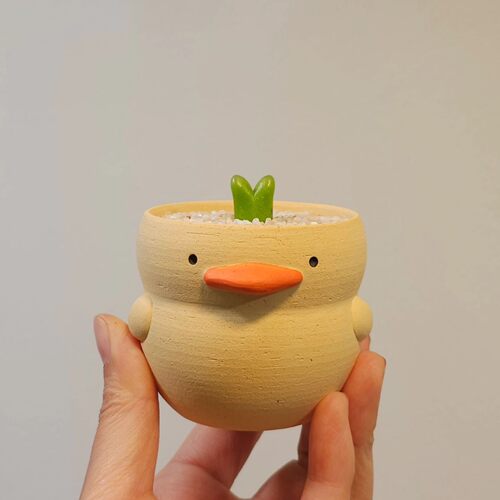 陶土韩国花盆原创盆TeeUMINS盆