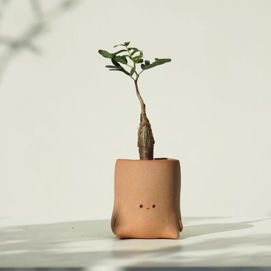 「国内现货」TeeUM韩国制｜迷你可爱小人花盆｜手工多肉盆｜礼品