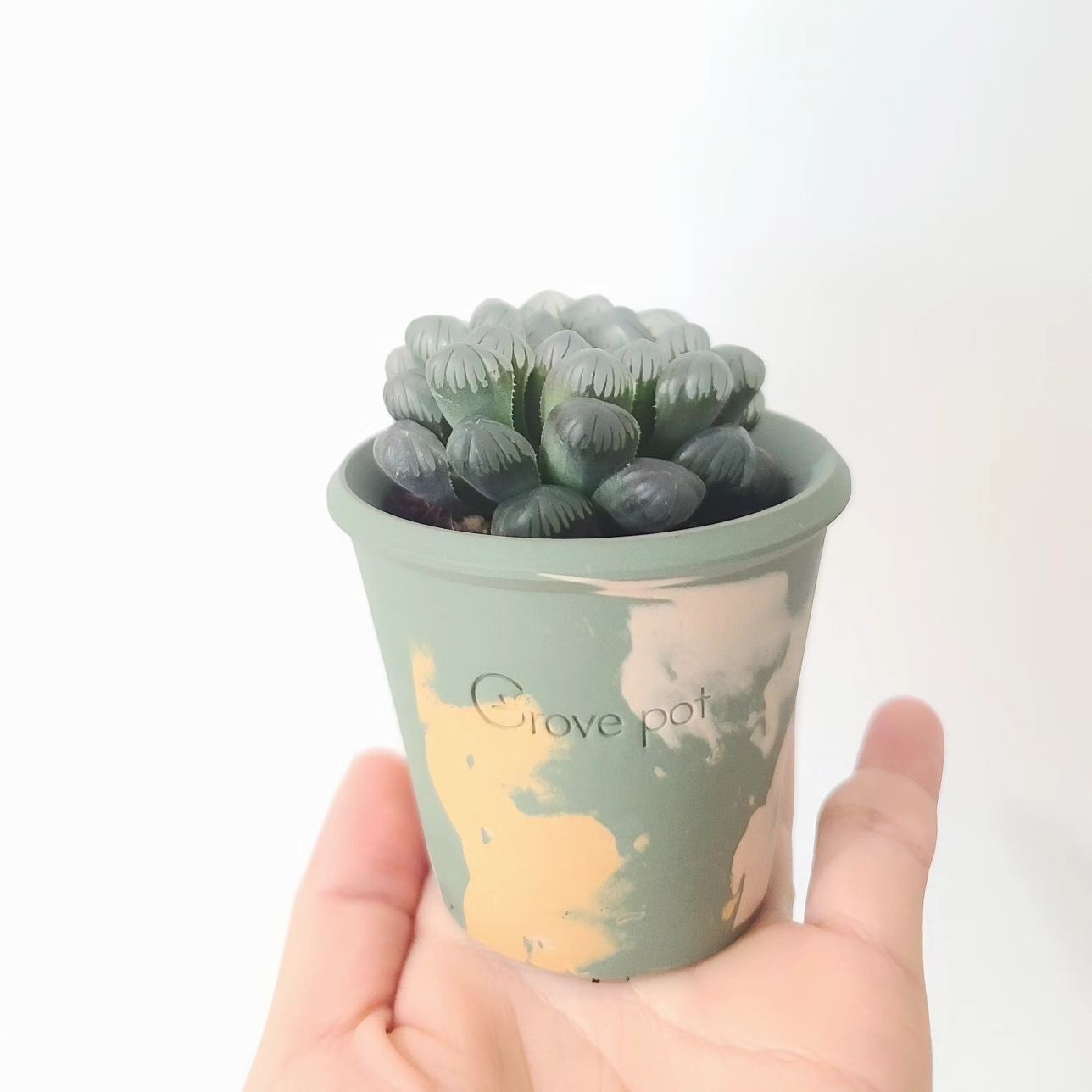 陶土韩国花盆原创盆TeeUM纯手工