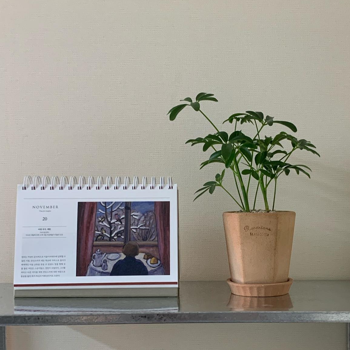 TeeUM韩国花盆陶土创意花盆