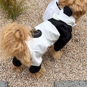 春夏防水熊猫变身小型犬雨衣