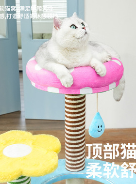 zeze花开游乐园猫爬架猫窝抓柱一体不占地跳台观景台大猫多猫可用