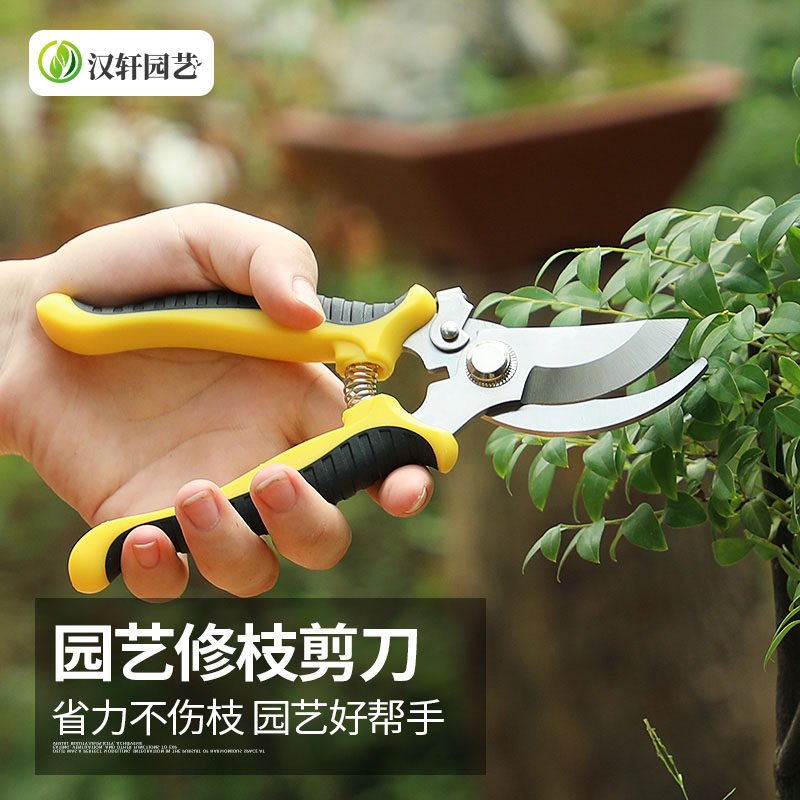 园林园艺艺剪花树枝剪刀修枝剪果树植物粗枝修花多功能花艺剪工具