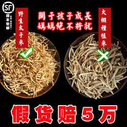 苗岭农家正宗深山野生太子参中药材特级孩儿参无硫贵州施秉500g