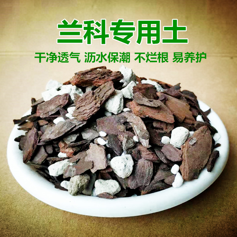 蔷薇花的价格 蔷薇花的图片 星期三 蔷薇花的价格 蔷薇花的图片 星期三