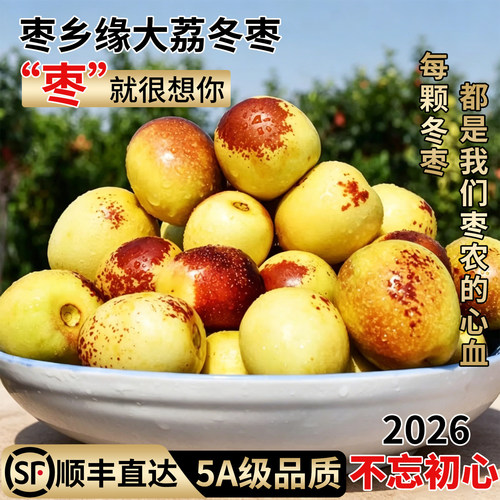 5A级大荔冬枣全网热销第一名！