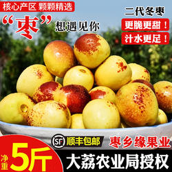 正宗陕西大荔冬枣新鲜大枣特大冬枣新鲜水果礼盒顺丰5斤整箱包邮
