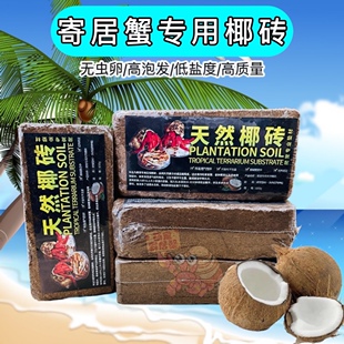 寄居蟹爬宠饲养垫材椰砖椰土保湿保暖营养土椰糠乌龟冬眠过冬苔藓