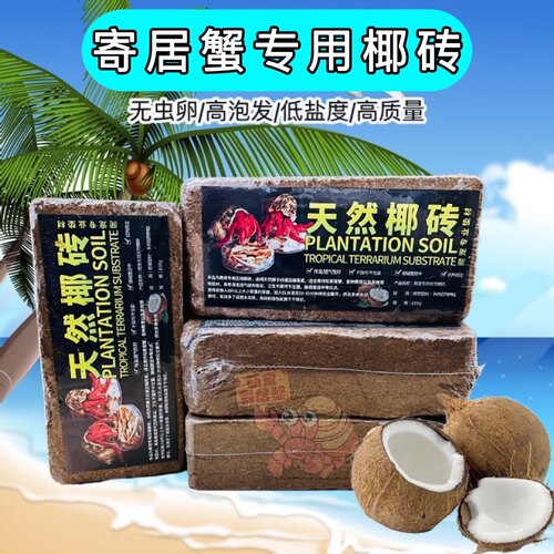 寄居蟹爬宠椰砖椰糠椰土垫材