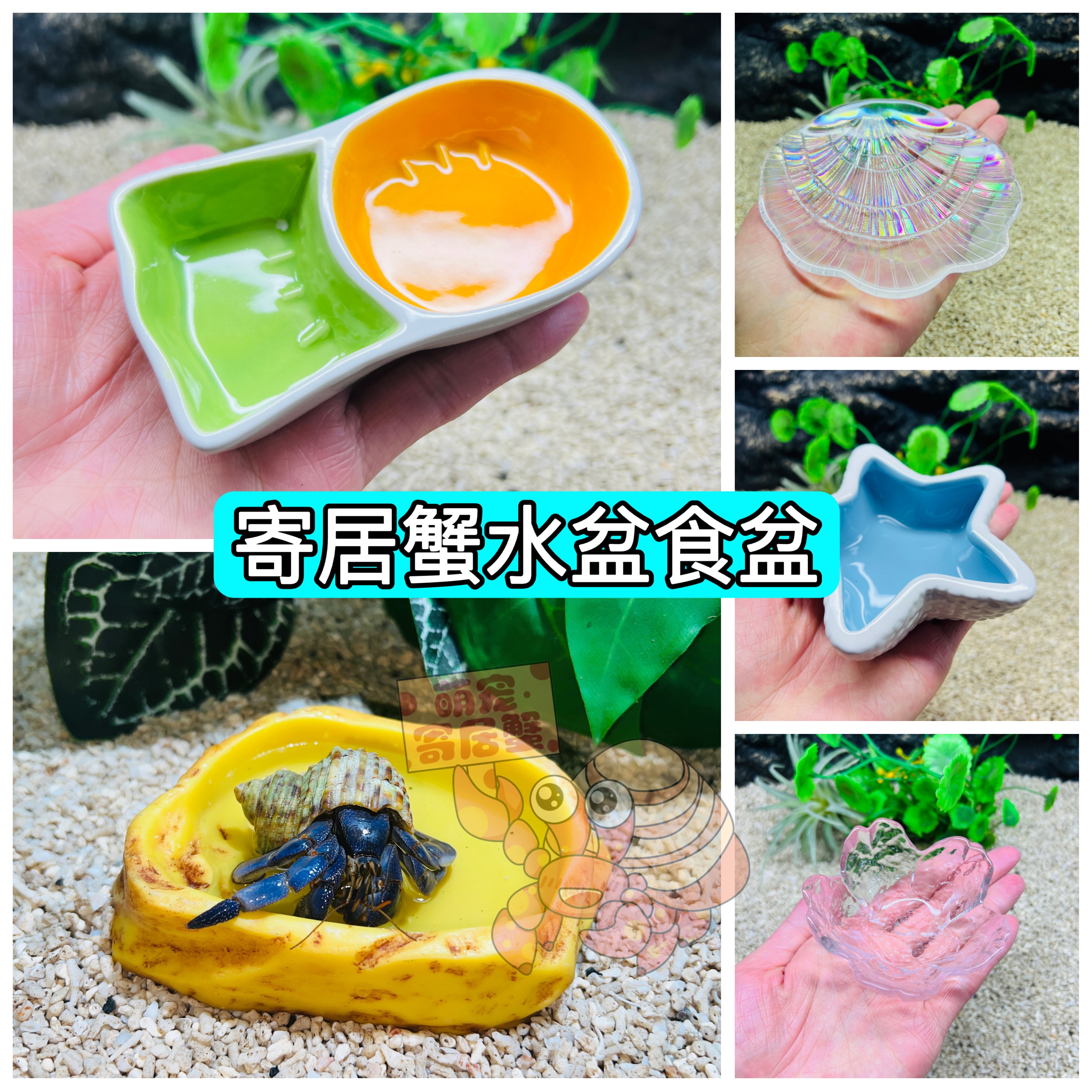寄居蟹水盆食盆寄居蟹陶瓷泡澡盆