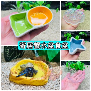 实用水盆食盆合集 寄居蟹泡澡盆防溺水 爬虫仓鼠宠物防逃逸陶瓷盆