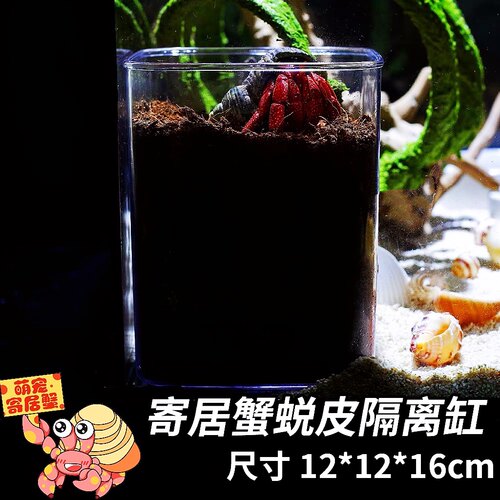 寄居蟹蜕皮隔离缸 生态缸套缸造景防打扰助脱皮 饲养套餐科学养蟹