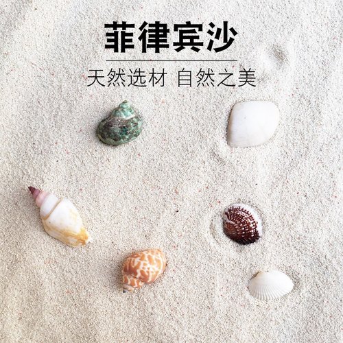 寄居蟹垫材菲律宾沙贝壳砂矿沙