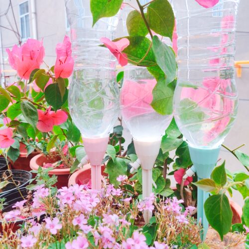 自动浇水器浇花神器滴灌神器浇水