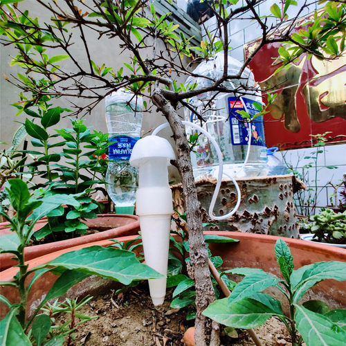 滴灌自动浇花出差旅游调节浇水