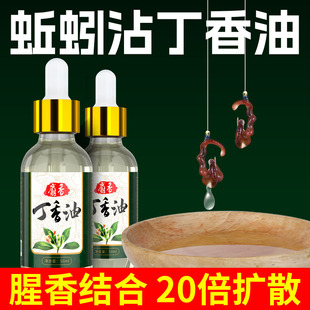 冬季钓鱼纯公小药丁香油麝香酒沾活蚯蚓鲫鱼野钓黑坑诱鱼剂开口剂