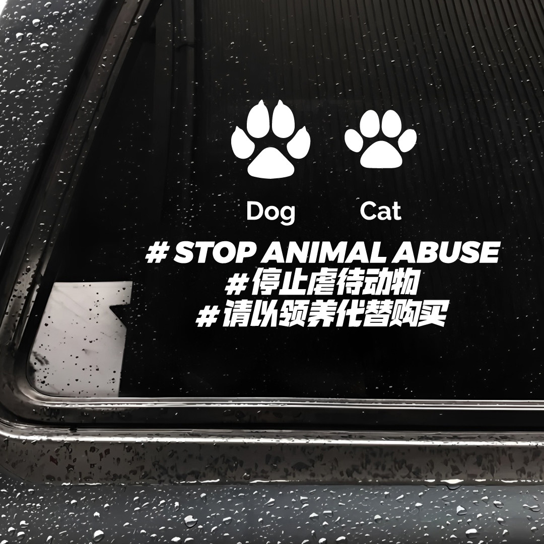 停止虐待动物贴纸汽车后挡装饰贴