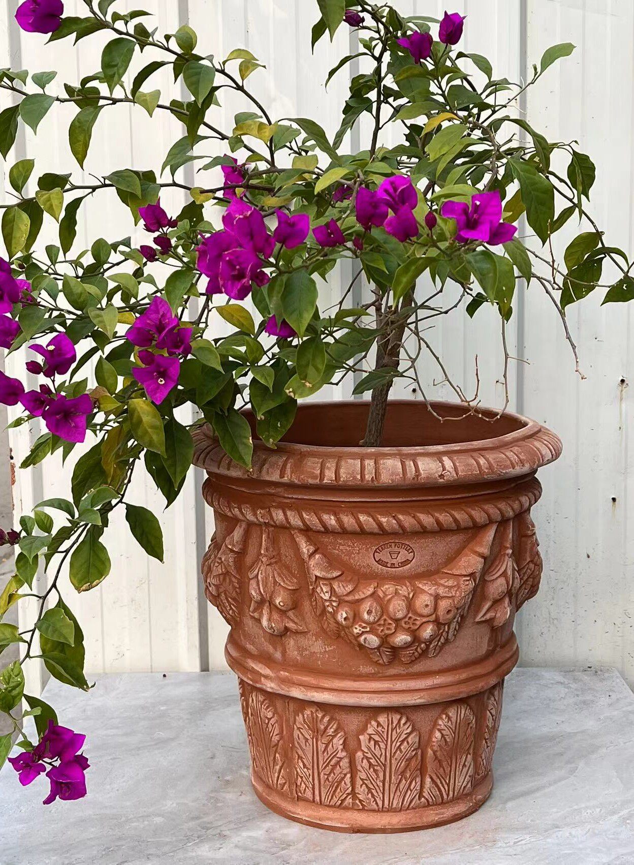 天韵,高大上陶盆, 麦穗盆, 红陶 高浮雕,欧式花盆 意大利1006