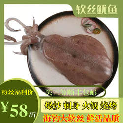 特大鱿鱼鲜活软丝烧烤火锅新鲜冷冻大尾鱿鱼母莱氏拟乌贼鱼500g