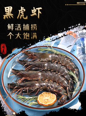 超大黑虎鲜活8-10条海虾速冻