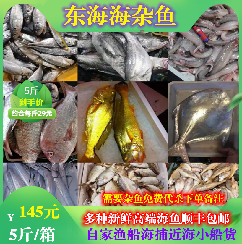 无冰新货东海海杂鱼新鲜深海鱼冷冻海鲜拼盘生鲜水产福建高档海鱼