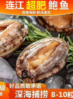 新鲜海鲜水产速冻超大个福建
