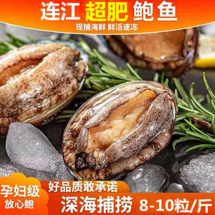 福建鲍鱼海鲜水产鲜活速冻大个超大个鲍鱼特大8-10粒/斤/到手2斤