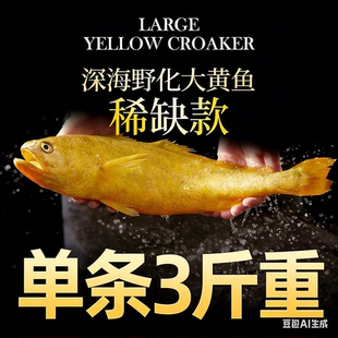 【正常发货】野化大黄鱼黄花鱼海鲜水产鲜活黄鱼冷冻3斤1条顺丰