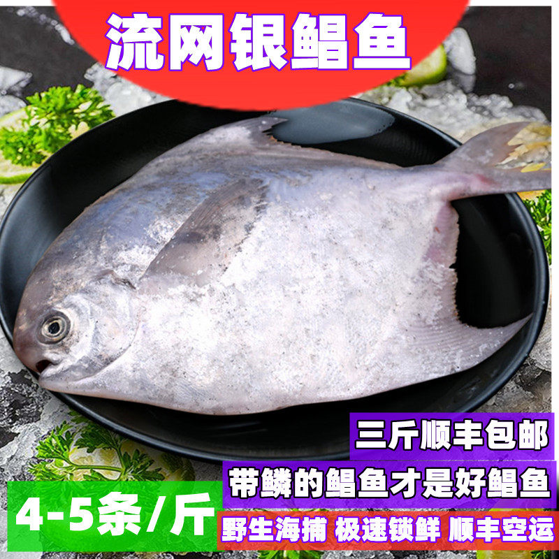 福建新鲜银鲳鱼白鲳鱼银昌鱼平鱼鲜活海捕冷冻水产1斤4条左右_虎窝淘