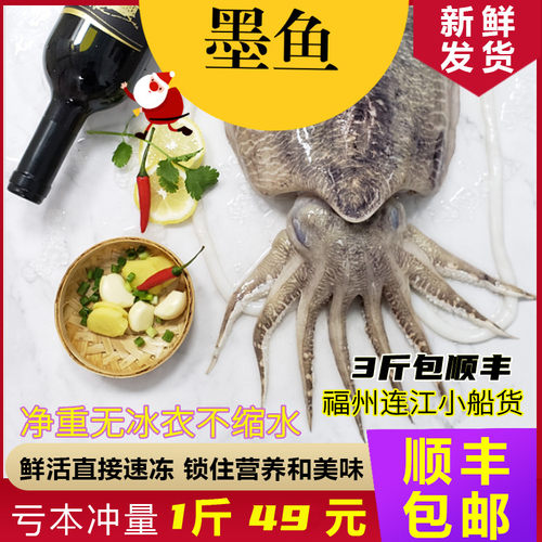 海鲜目鱼墨斗鱼大墨鱼乌贼