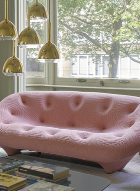 法国Ligne roset 写意空间 布艺沙发无靠背客厅简约现代 Ploum