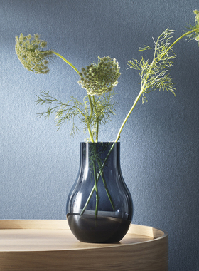 Georg Jensen 丹麦 Cafu 花瓶北欧摆件鲜花插花欧式创意极简客厅