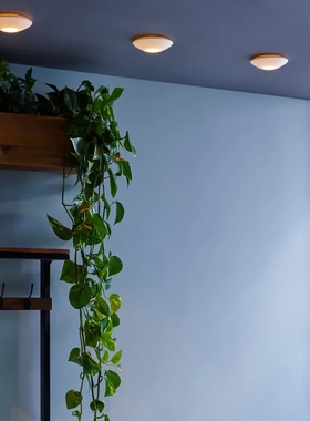 Original BTC  英国进口 Sopra 吸顶灯氛围灯过道壁灯走廊夜灯具