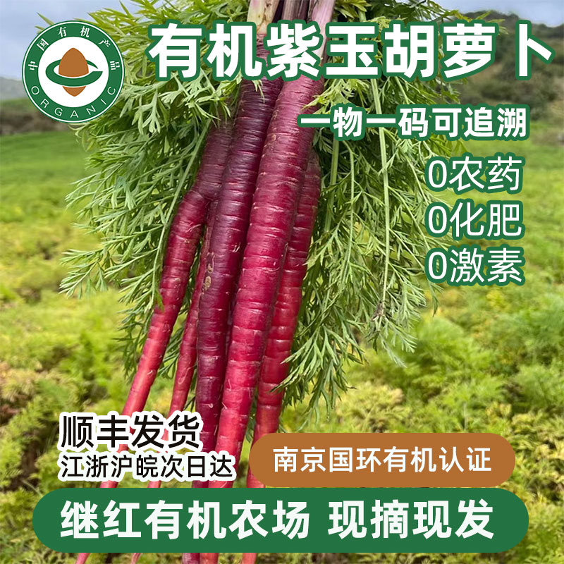有机认证紫玉胡萝卜农场现采现发