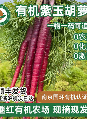 南京继红有机紫玉水果胡萝卜新鲜现挖脆甜生吃紫皮黄心紫色老品种