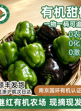 南京继红有机农场有机水果甜椒青椒现摘现发新鲜蔬菜彩椒辣椒绿色