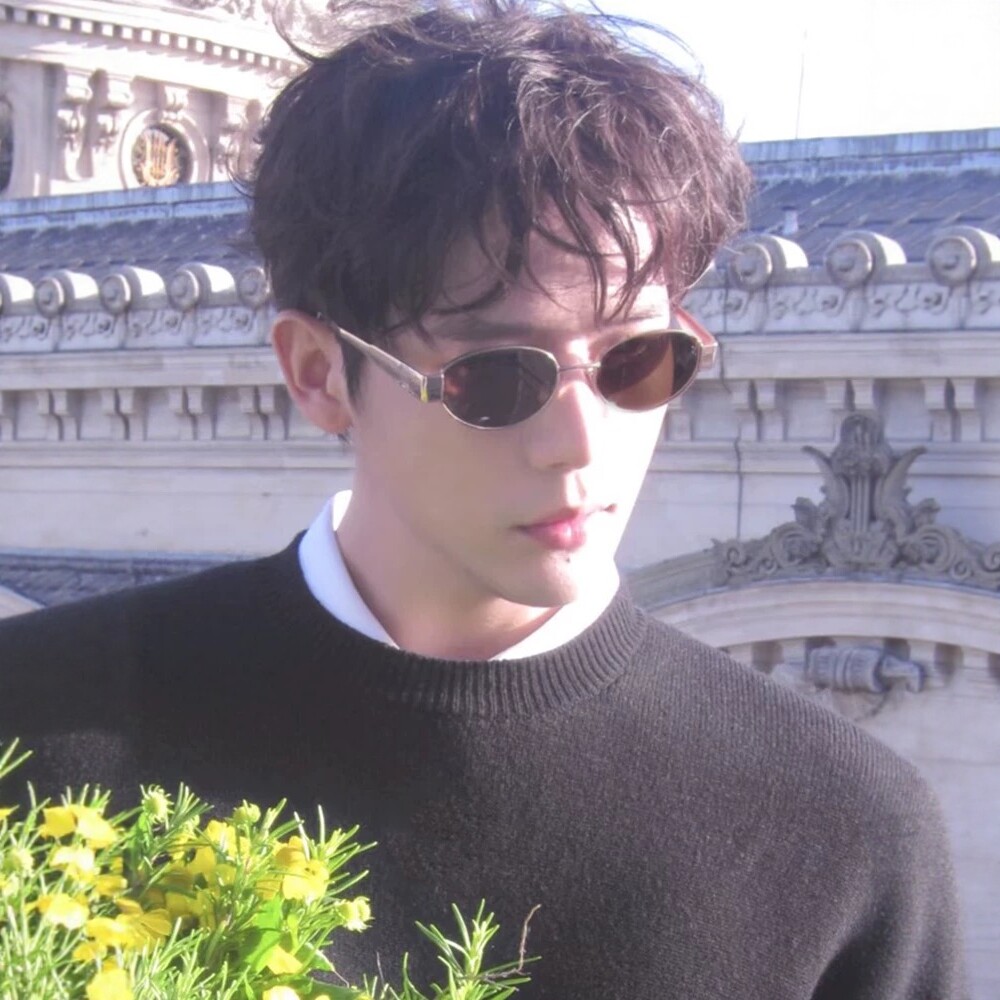 王安宇同款老钱风墨镜男近视太阳眼镜复古高级感贵公子巴黎时装周