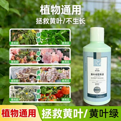 黄叶绿腐殖酸通用营养液