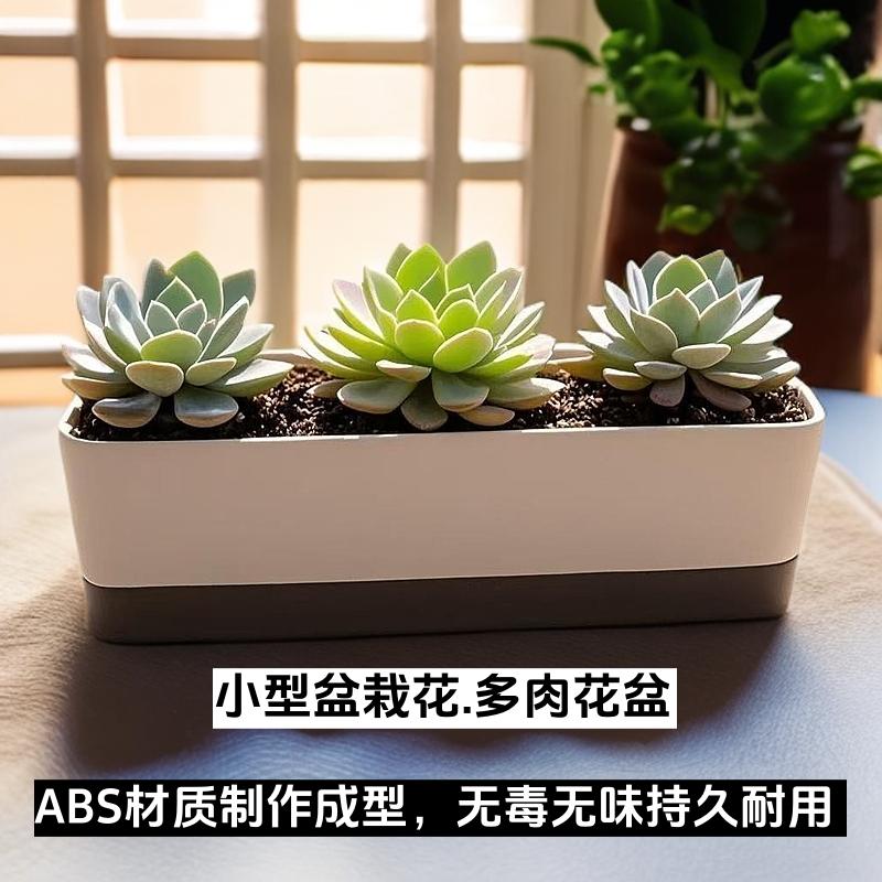 加厚树脂多肉花盆简约长方形太阳花花盆细长条窗台简约懒人种菜盆
