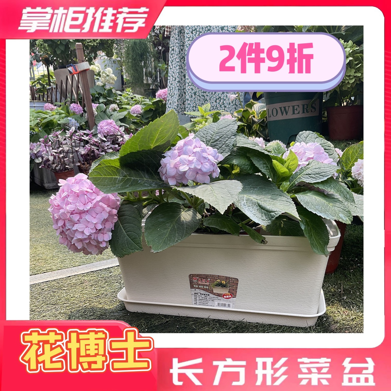 花博士超大加厚树脂长方形花盆阳台塑料种菜育苗种菜盆花槽带托盘