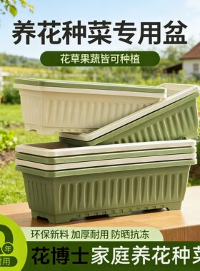 加厚长方型养花种菜花盆