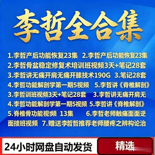 李哲老师触诊面授班视频共28集高清学习课程13.4G课程完整版