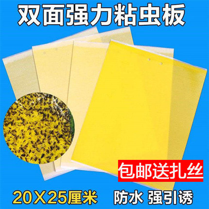 粘虫板黄板包邮双面蓟马蓝板诱虫黄色小黑飞家用农用果树大棚专用