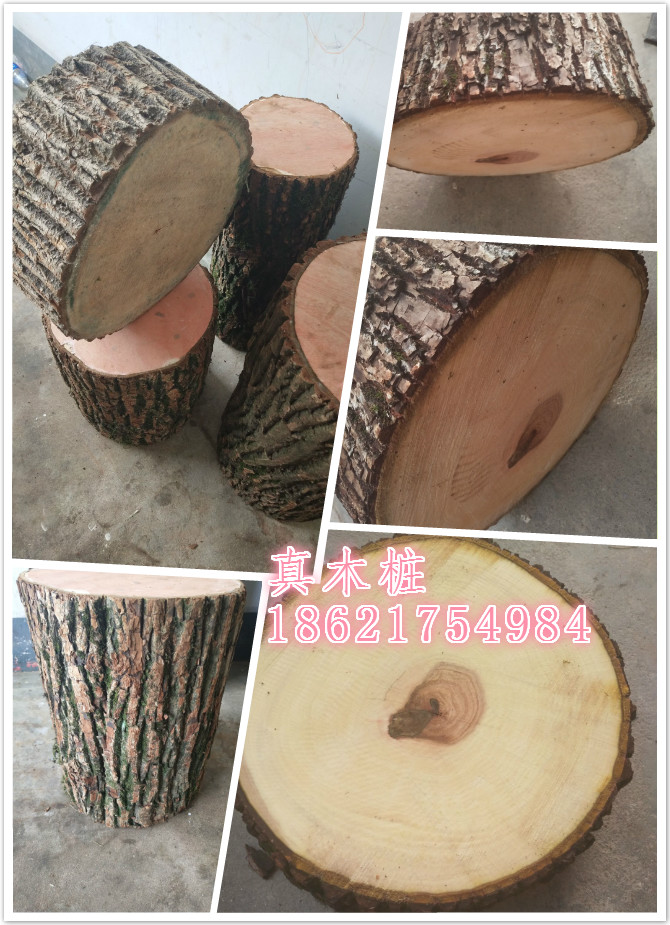 天然树墩树桩树段木墩子摄影个性家居橱窗树枝装饰道具大木桩摆件
