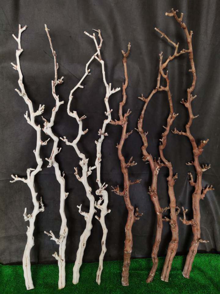 干树枝 树枝装饰干枝艺术枯枝枯木树干 造型壁挂衣架树枝吊顶装饰