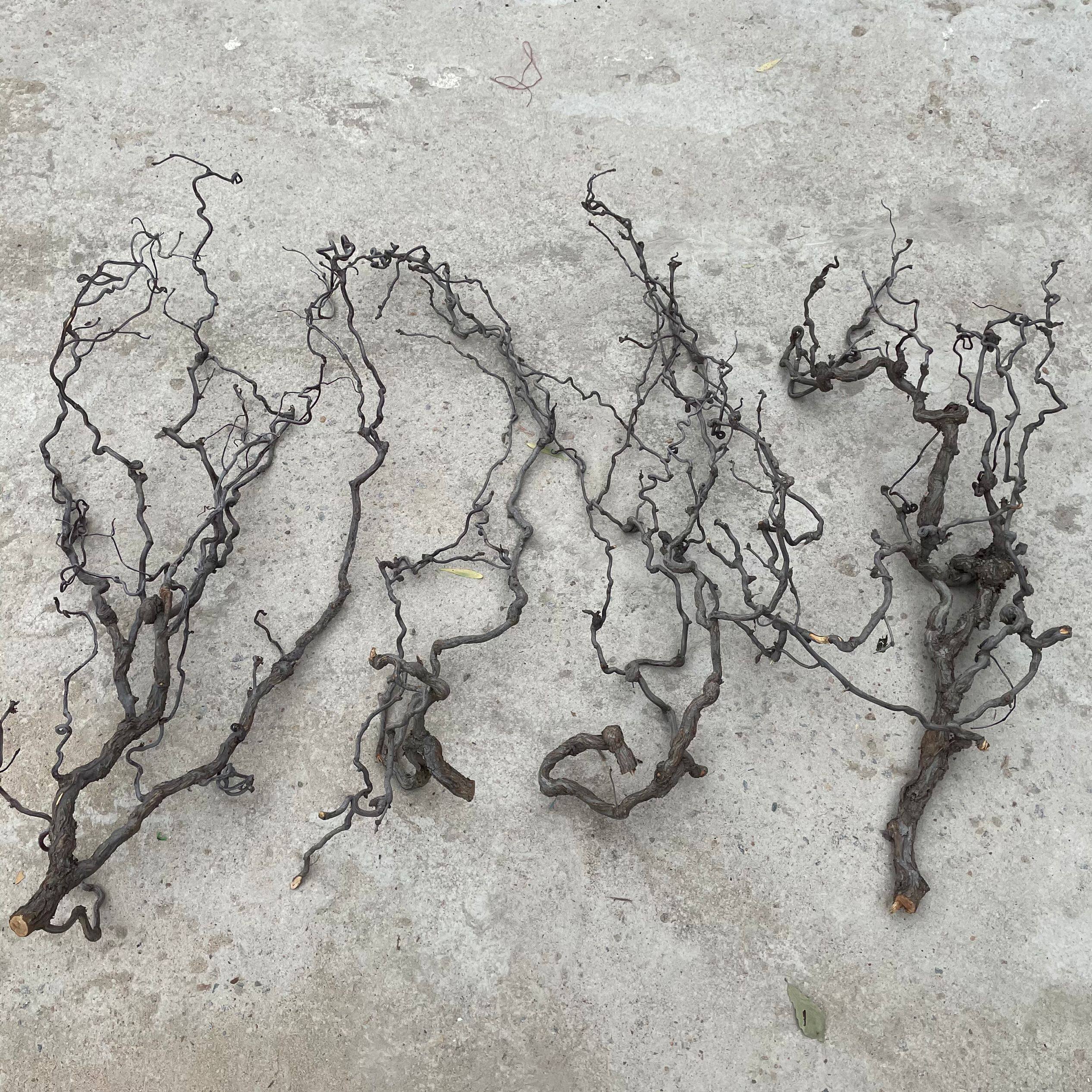 干树枝家庭装饰 一物一拍 龙枣树摆件插花干枝山水造型客厅