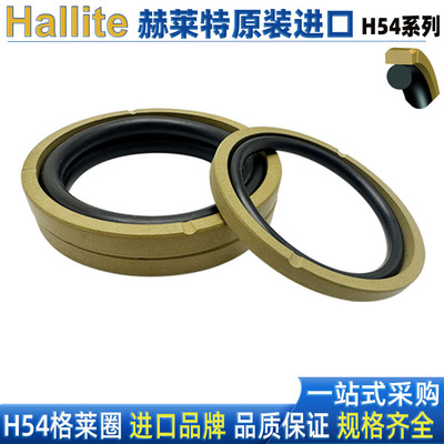 赫莱特HALLITE英国聚四氟斯特封