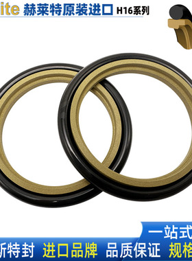 赫莱特H16进口斯特封轴用油封145 150 155*160.1 165.5 170.5*6.3